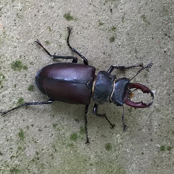 30DaysWild - Part 2
